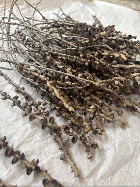 Dried Natural Twig Bundle - Brown Decorative Home Accent